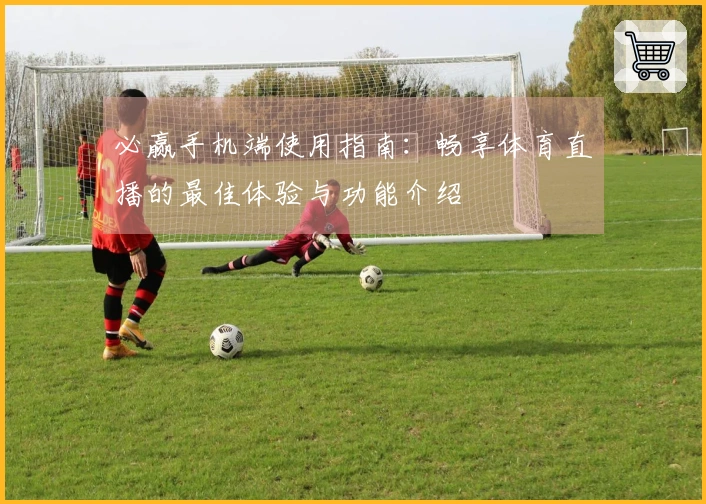 必赢手机端使用指南：畅享体育直播的最佳体验与功能介绍