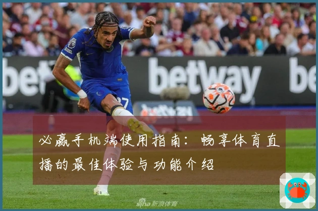 必赢手机端使用指南：畅享体育直播的最佳体验与功能介绍