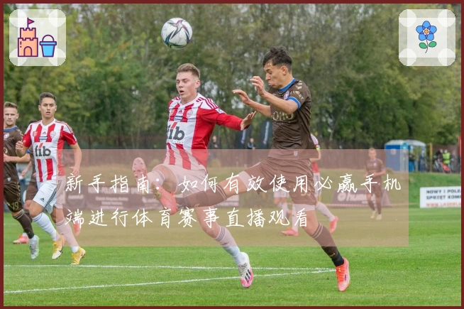 新手指南：如何有效使用必赢手机端进行体育赛事直播观看