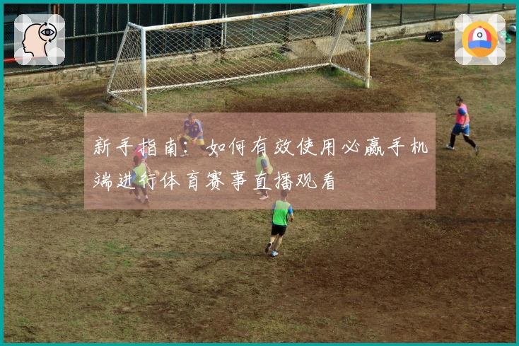 新手指南：如何有效使用必赢手机端进行体育赛事直播观看