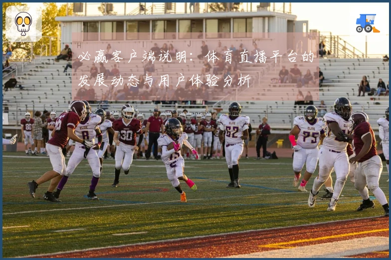 必赢客户端说明：体育直播平台的发展动态与用户体验分析
