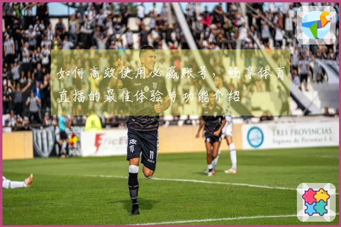 如何高效使用必赢账号，畅享体育直播的最佳体验与功能介绍